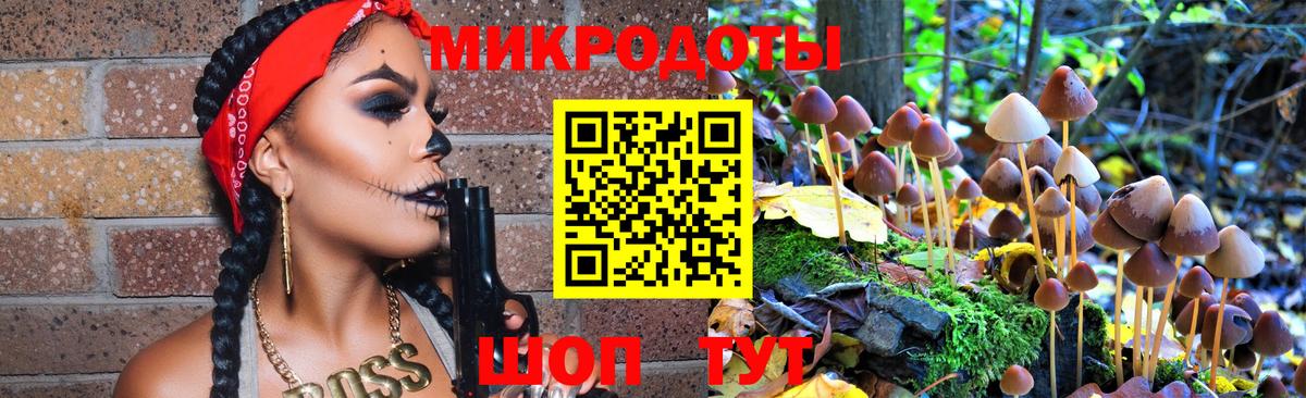 Кунгур  Галлюциногенные грибы GOLDEN TEACHER  Галлюциногенные грибы GOLDEN TEACHER  Вход с VPN 